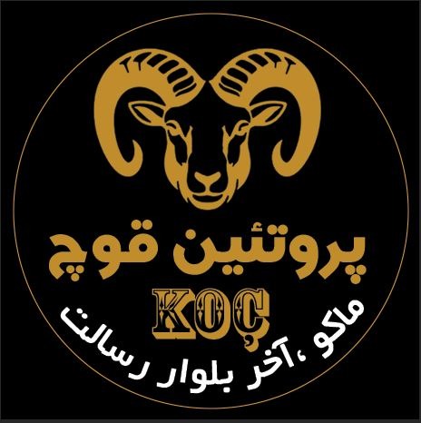 پروتئینی قوچ